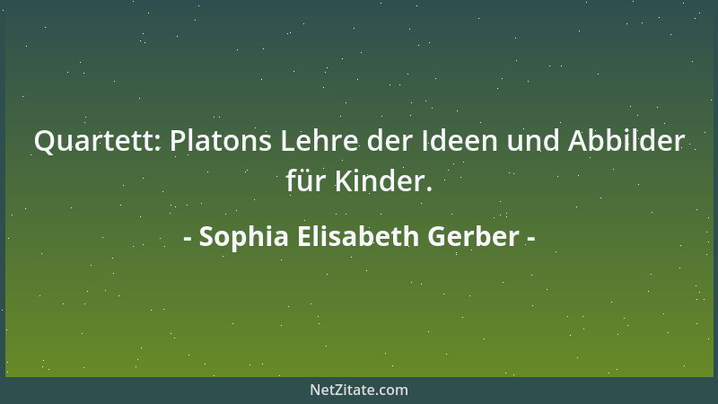 Sophia Elisabeth Gerber - Philosophische Gedankensplitter graben sich tief ein und sind nur schwer wieder zu entfernen....