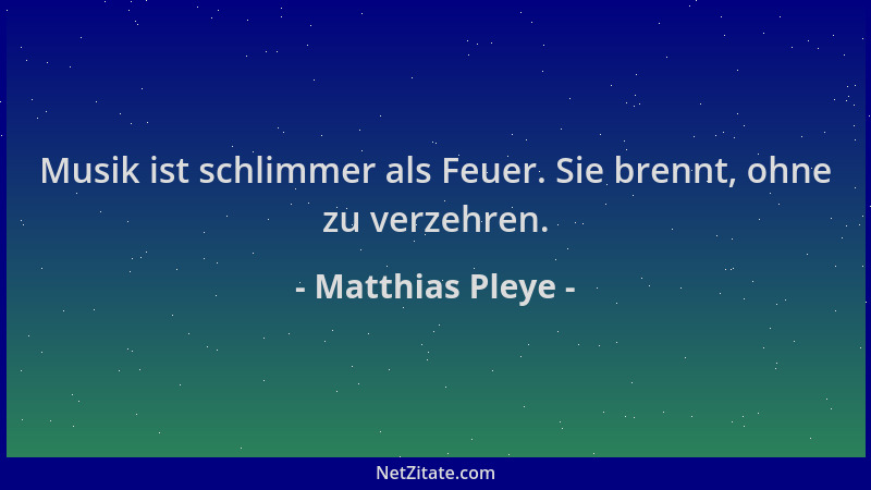 Matthias Pleye - Musik ist schlimmer als Feuer. Sie brennt, ohne zu verzehren....