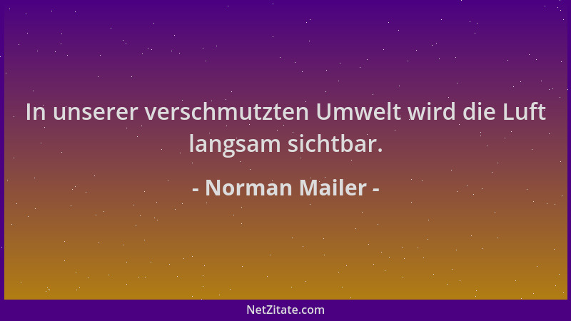Norman Mailer - In unserer verschmutzten Umwelt wird die Luft langsam sichtbar....