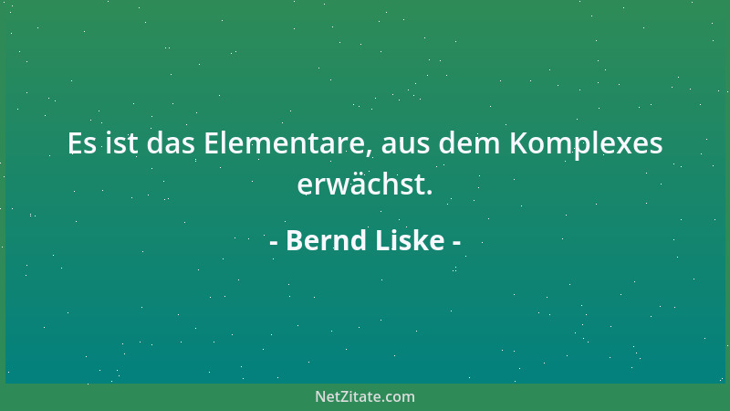 Bernd Liske - Es ist das Elementare, aus dem Komplexes erwächst....