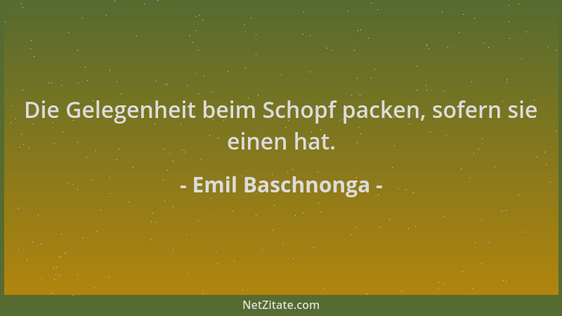 Emil Baschnonga - Die Gelegenheit beim Schopf packen, sofern sie einen hat....