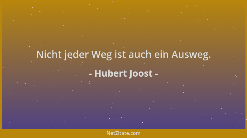 Hubert Joost - Nicht jeder Weg ist auch ein Ausweg....