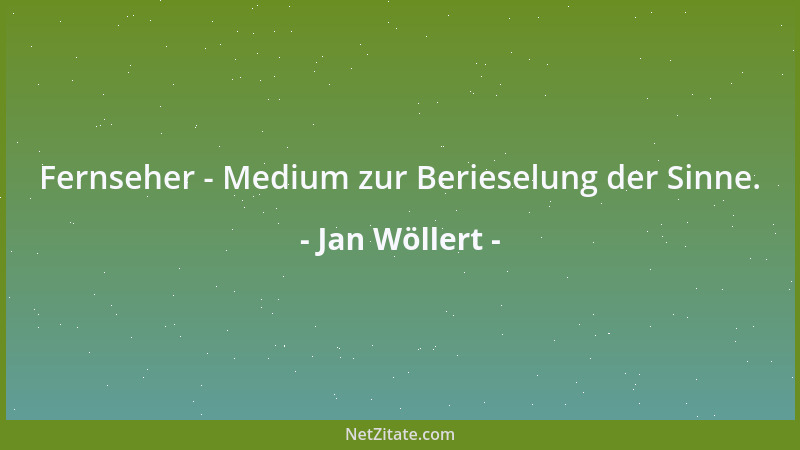 Jan Wöllert - Fernseher - Medium zur Berieselung der Sinne....