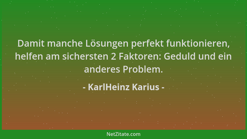 KarlHeinz Karius - Damit manche Lösungen perfekt funktionieren, helfen am sichersten 2 Faktoren: Geduld und ein anderes Pro...