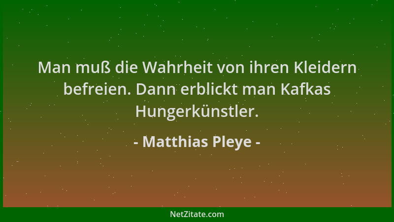 Matthias Pleye - Man muß die Wahrheit von ihren Kleidern befreien. Dann erblickt man Kafkas Hungerkünstler....