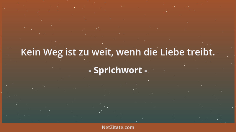 Sprichwort - Was man aus dem Schiffbruch rettet, ist Gewinn....