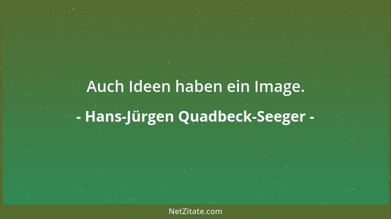 Hans-Jürgen Quadbeck-Seeger - Auch Ideen haben ein Image....
