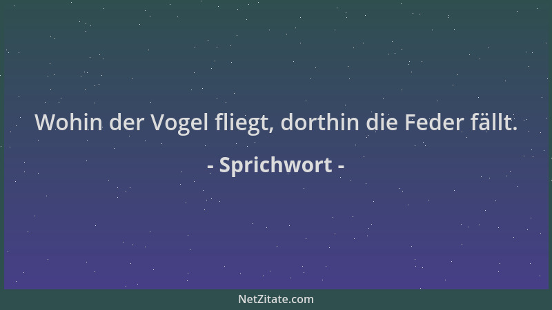 Sprichwort - Wohin der Vogel fliegt, dorthin die Feder fällt....