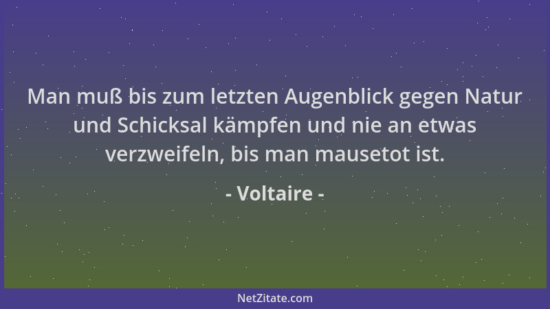 Voltaire - Man muß bis zum letzten Augenblick gegen Natur und Schicksal kämpfen und nie an etwas verzweifeln, bis man mause...