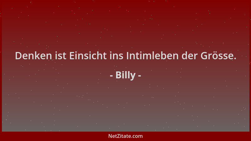 Billy - Denken ist Einsicht ins Intimleben der Grösse....