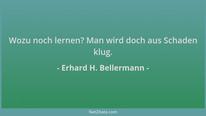 Erhard H. Bellermann - Wozu noch lernen? Man wird doch aus Schaden klug....