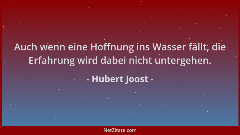 Hubert Joost - Auch wenn eine Hoffnung ins Wasser fällt, die Erfahrung wird dabei nicht untergehen....