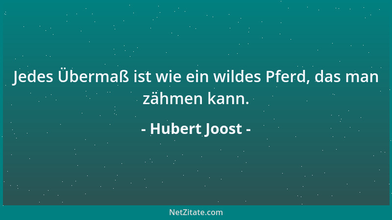 Hubert Joost - Jedes Übermaß ist wie ein wildes Pferd, das man zähmen kann....