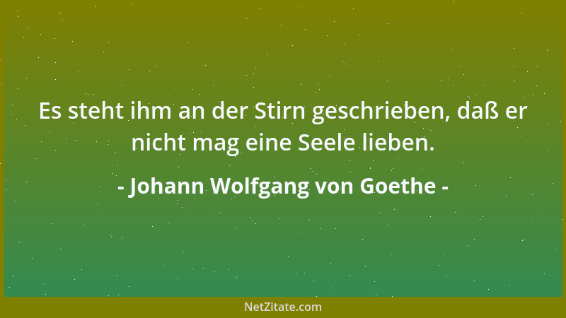 Johann Wolfgang von Goethe - Auf Schweigen und Vertrauen ist der Tempel aufgebaut....