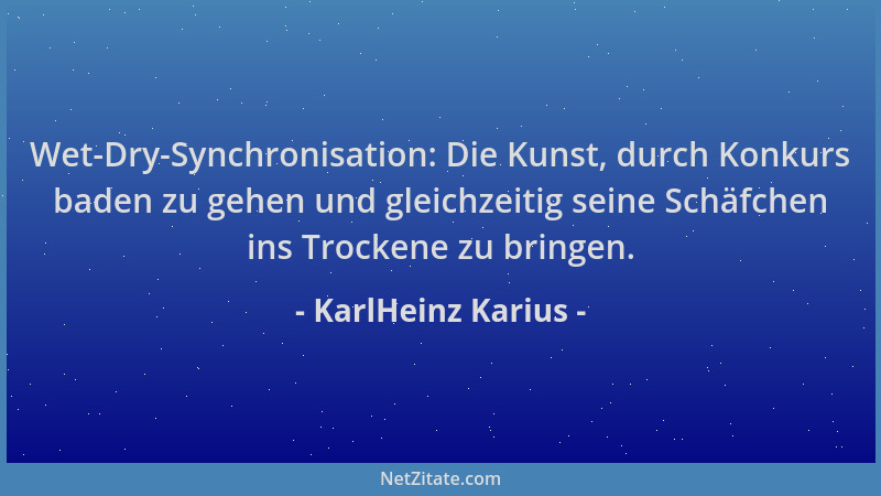 KarlHeinz Karius - Wet-Dry-Synchronisation: Die Kunst, durch Konkurs baden zu gehen und gleichzeitig seine Schäfchen ins Tr...