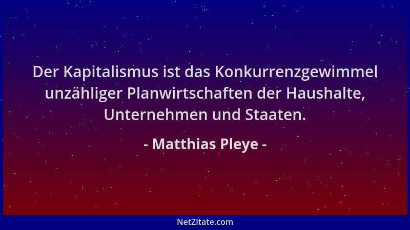 Matthias Pleye - Der Kapitalismus ist das Konkurrenzgewimmel unzähliger Planwirtschaften der Haushalte, Unternehmen und Sta...