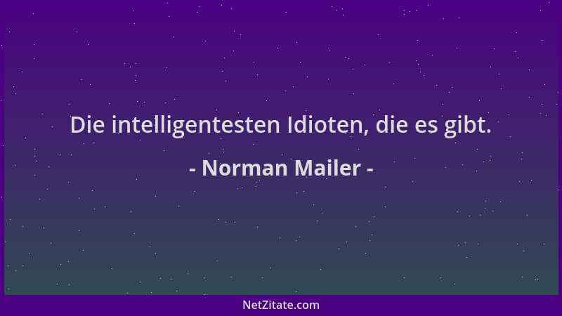 Norman Mailer - Die intelligentesten Idioten, die es gibt....