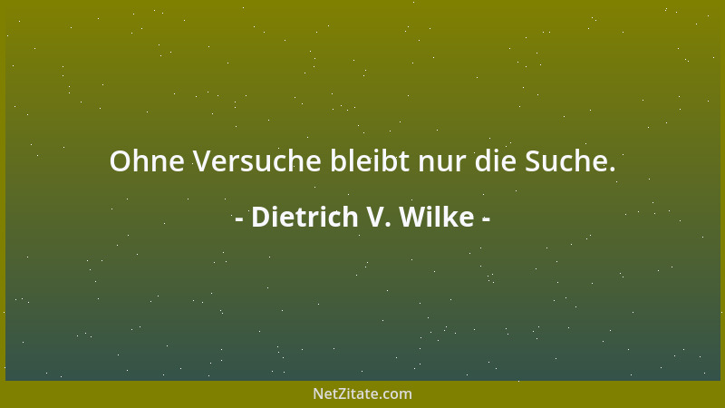 Dietrich V. Wilke - Ohne Versuche bleibt nur die Suche....
