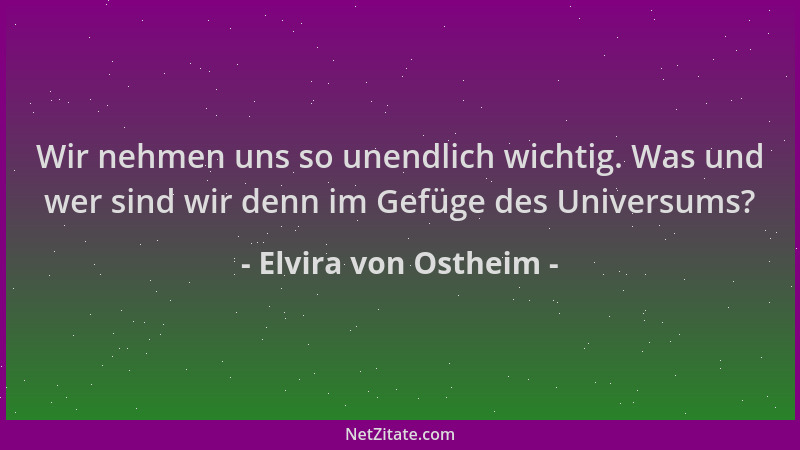Elvira von Ostheim - Wir nehmen uns so unendlich wichtig. Was und wer sind wir denn im Gefüge des Universums?...