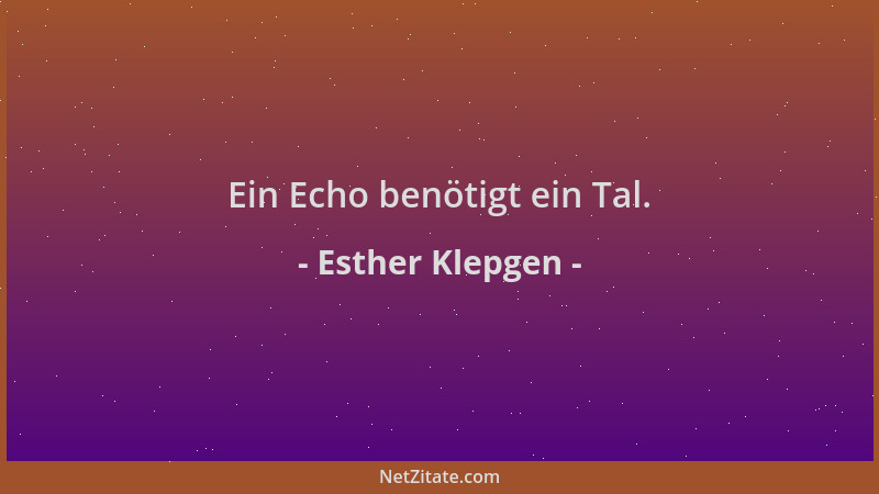 Esther Klepgen - Ein Echo benötigt ein Tal....