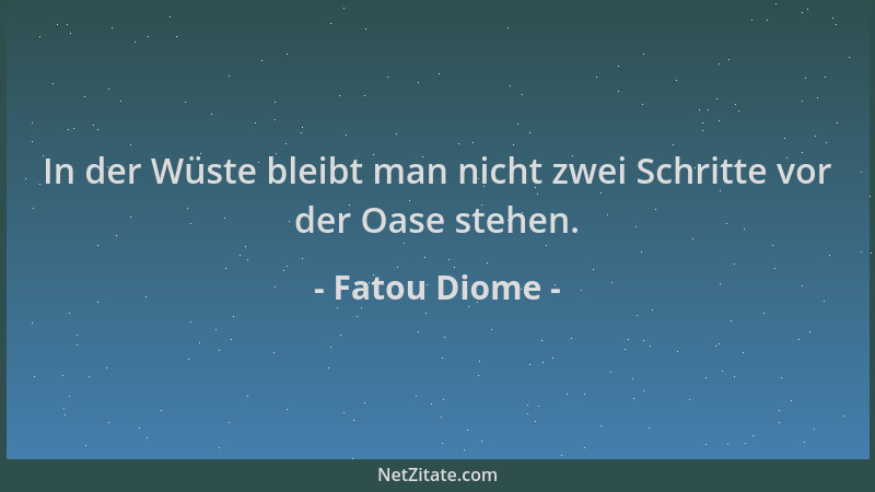 Fatou Diome - In der Wüste bleibt man nicht zwei Schritte vor der Oase stehen....
