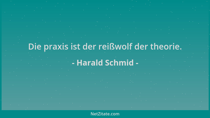 Harald Schmid - Die praxis ist der reißwolf der theorie....