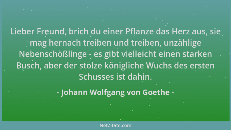 Johann Wolfgang von Goethe - Lieber Freund, brich du einer Pflanze das Herz aus, sie mag hernach treiben und treiben, unzäh...