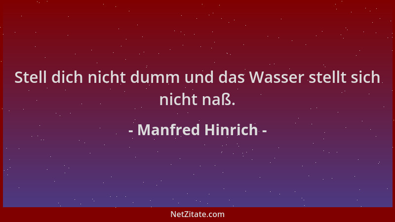 Manfred Hinrich - Stell dich nicht dumm und das Wasser stellt sich nicht naß....