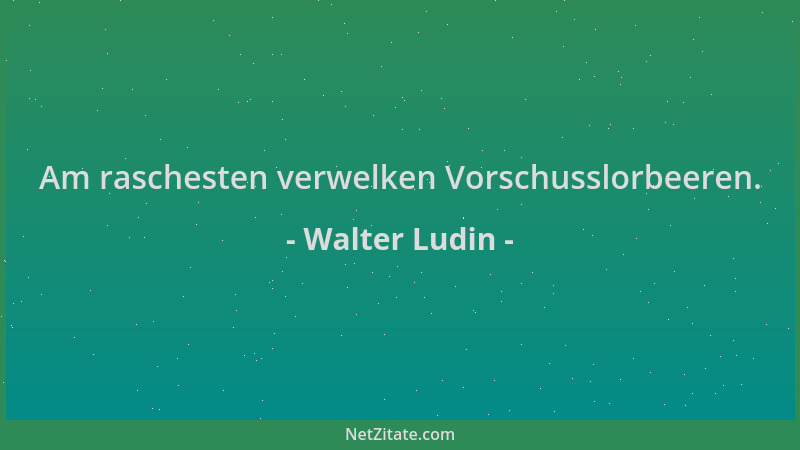 Walter Ludin - Am raschesten verwelken Vorschusslorbeeren....