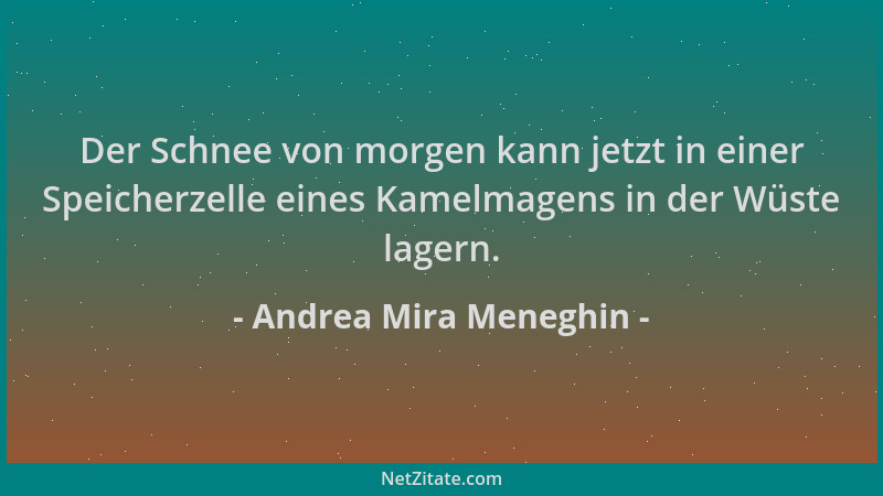 Andrea Mira Meneghin - Der Schnee von morgen kann jetzt in einer Speicherzelle eines Kamelmagens in der Wüste lagern....