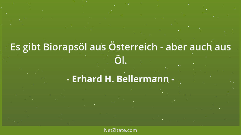 Erhard H. Bellermann - Vieles was wir Schicksal nennen ist Ungeschicksal....