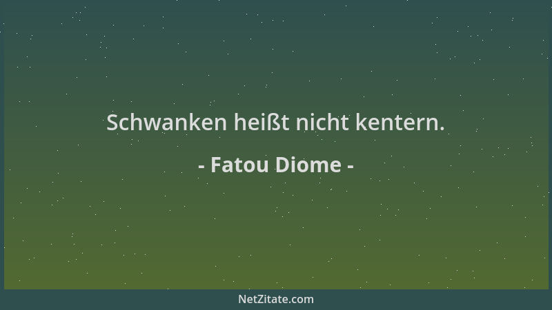 Fatou Diome - Schwanken heißt nicht kentern....