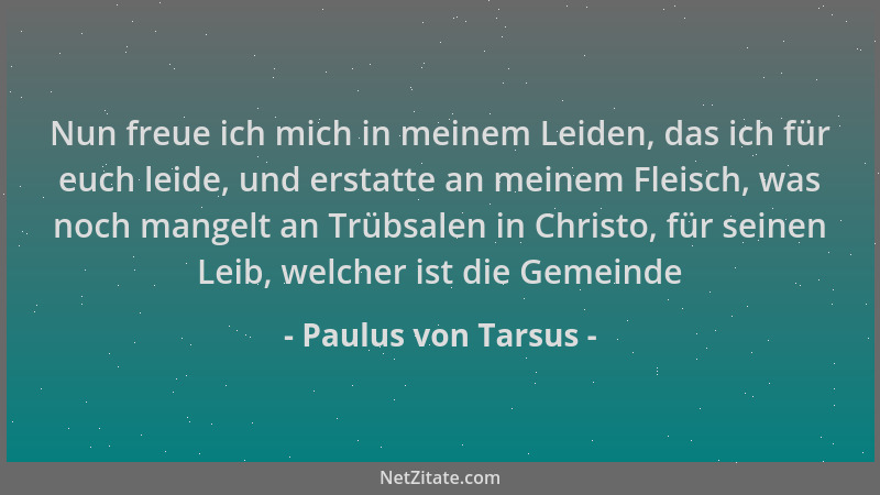 Paulus von Tarsus - Nun freue ich mich in meinem Leiden, das ich für euch leide, und erstatte an meinem Fleisch, was noch m...