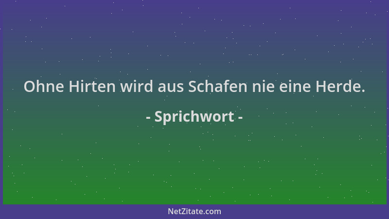 Sprichwort - Ohne Hirten wird aus Schafen nie eine Herde....