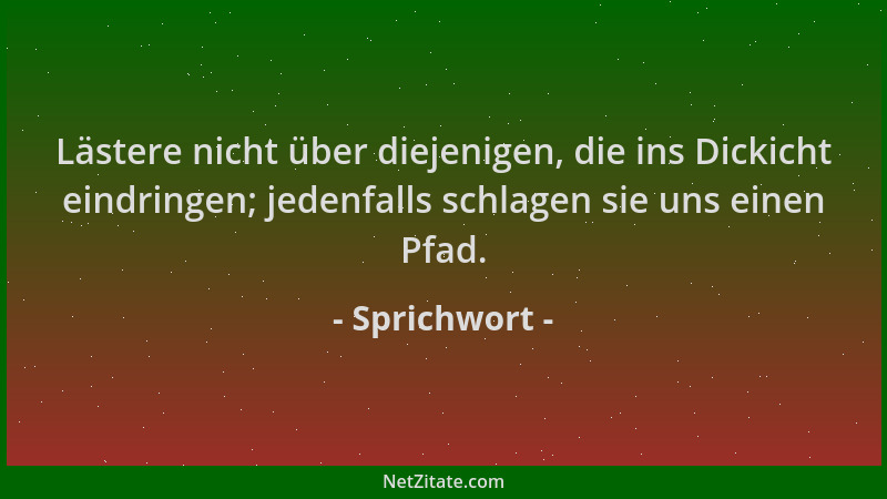 Sprichwort - Lästere nicht über diejenigen, die ins Dickicht eindringen; jedenfalls schlagen sie uns einen Pfad....