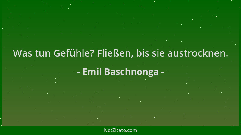 Emil Baschnonga - Was tun Gefühle? Fließen, bis sie austrocknen....