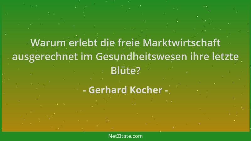 Gerhard Kocher - Warum erlebt die freie Marktwirtschaft ausgerechnet im Gesundheitswesen ihre letzte Blüte?...
