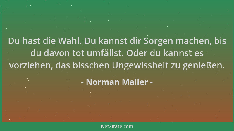 Norman Mailer - Du hast die Wahl. Du kannst dir Sorgen machen, bis du davon tot umfällst. Oder du kannst es vorziehen, das...