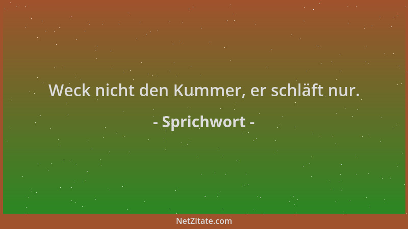 Sprichwort - Weck nicht den Kummer, er schläft nur....
