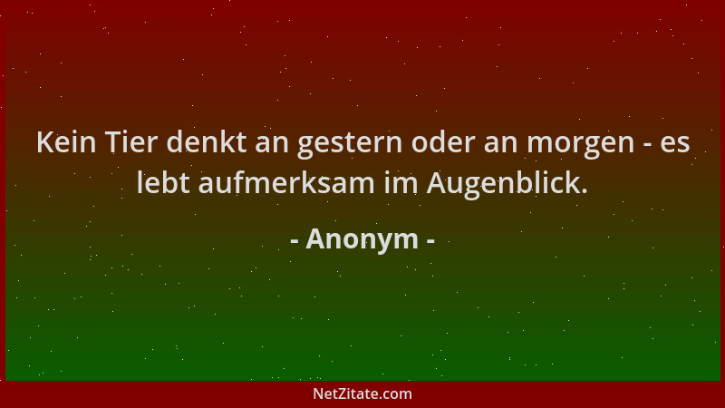 Anonym - Kein Tier denkt an gestern oder an morgen - es lebt aufmerksam im Augenblick....