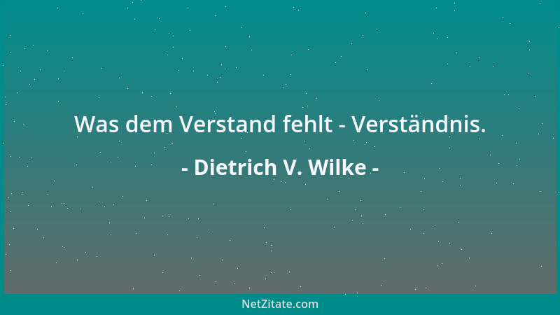 Dietrich V. Wilke - Was dem Verstand fehlt - Verständnis....