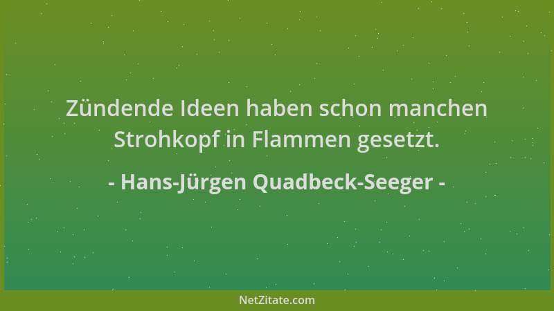 Hans-Jürgen Quadbeck-Seeger - Zündende Ideen haben schon manchen Strohkopf in Flammen gesetzt....