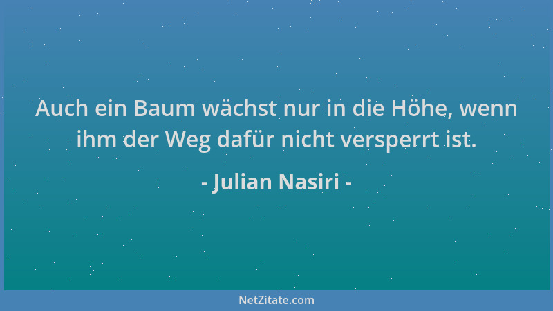Julian Nasiri - Auch ein Baum wächst nur in die Höhe, wenn ihm der Weg dafür nicht versperrt ist....