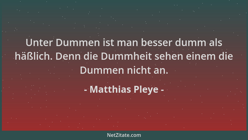 Matthias Pleye - Unter Dummen ist man besser dumm als häßlich. Denn die Dummheit sehen einem die Dummen nicht an....