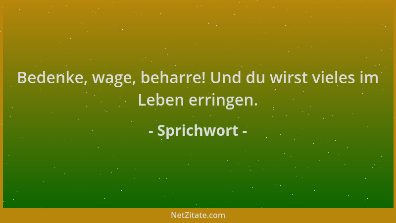 Sprichwort - Bedenke, wage, beharre! Und du wirst vieles im Leben erringen....