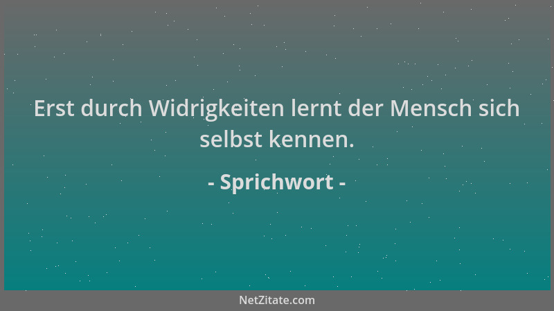 Sprichwort - Erst durch Widrigkeiten lernt der Mensch sich selbst kennen....