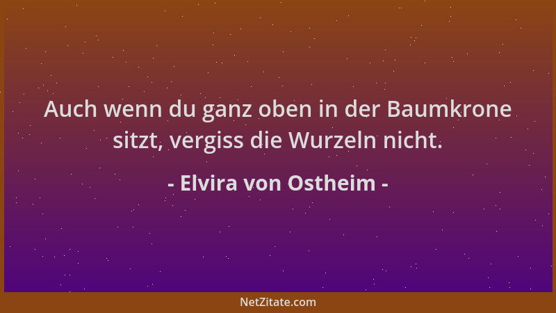 Elvira von Ostheim - Auch wenn du ganz oben in der Baumkrone sitzt, vergiss die Wurzeln nicht....