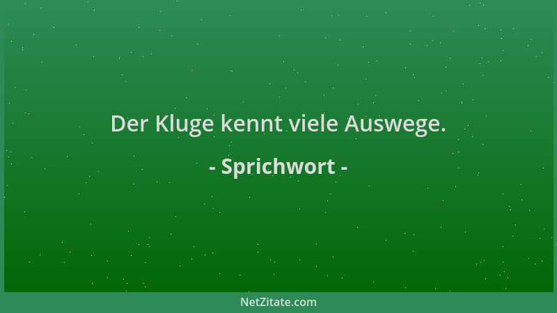 Sprichwort - Der Kluge kennt viele Auswege....