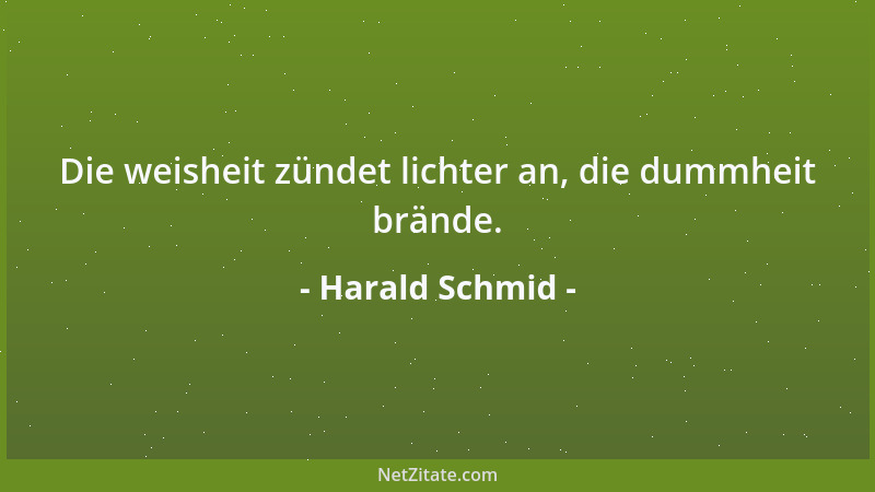 Harald Schmid - Die weisheit zündet lichter an, die dummheit brände....
