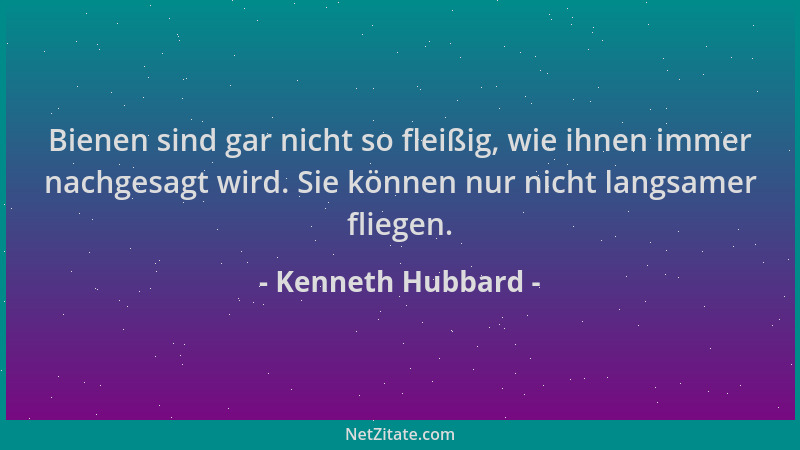 Kenneth Hubbard - Bienen sind gar nicht so fleißig, wie ihnen immer nachgesagt wird. Sie können nur nicht langsamer fliegen...